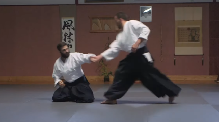 Hanmi tachi waza
